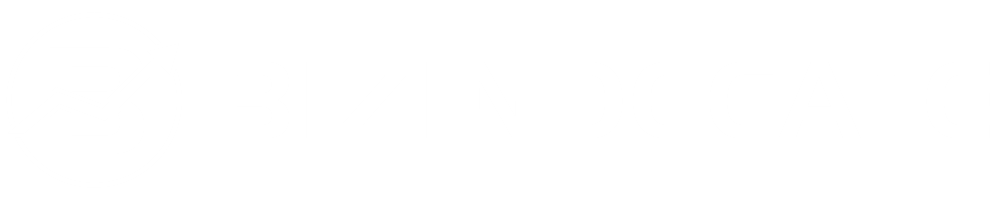 Bizindecate footer logo